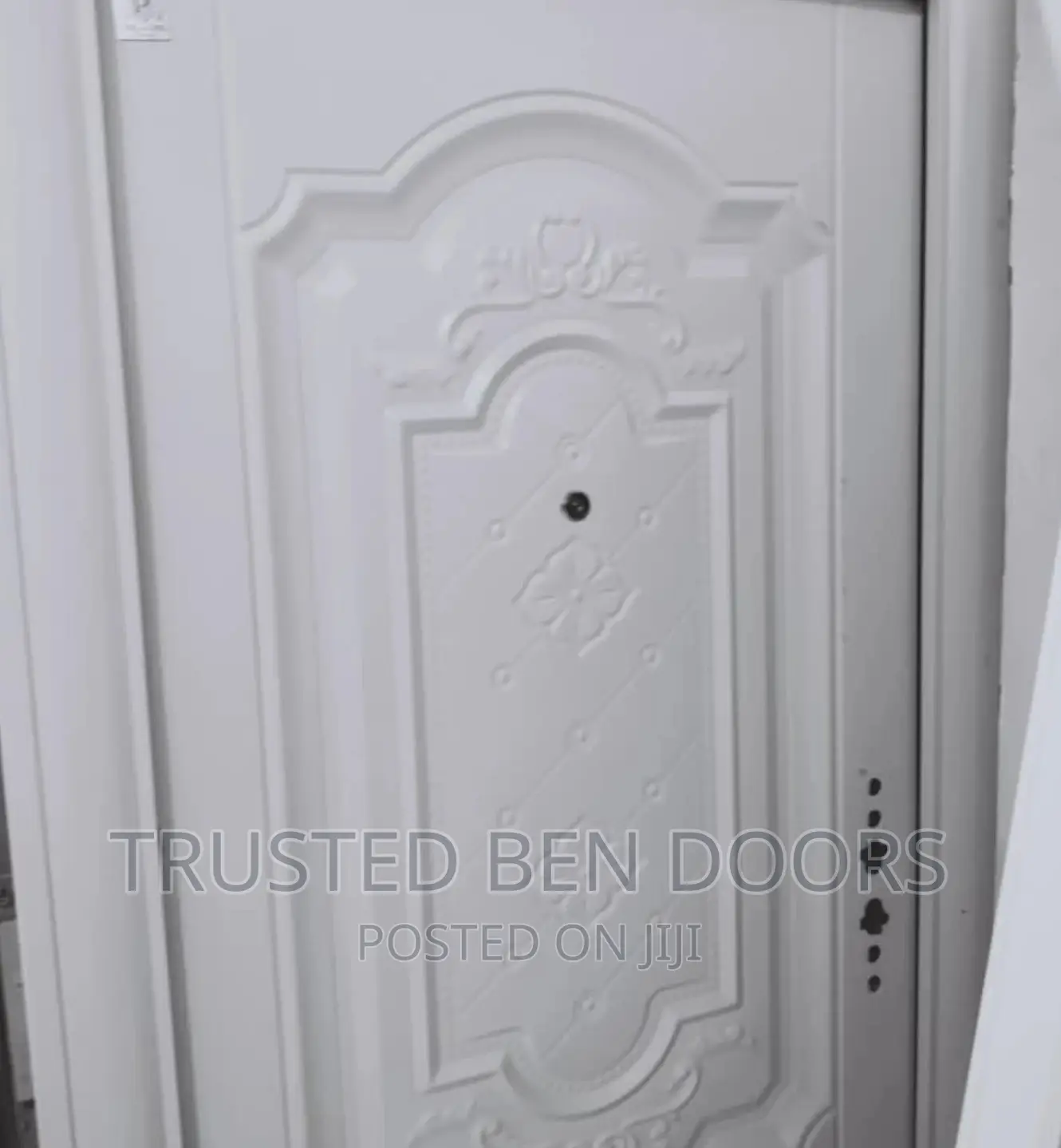 Timeless Paladin Security Doors [Many Design/Colors In Stock
