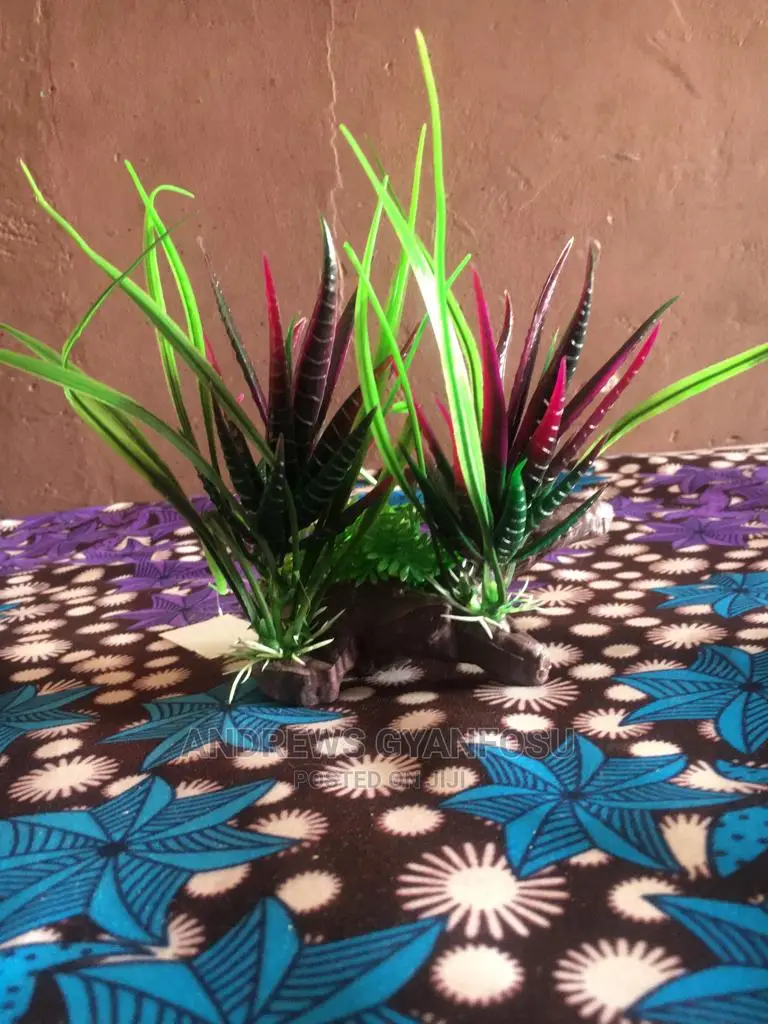 Aquarium Flower Plants