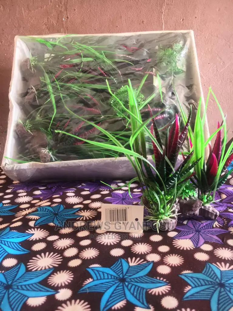 Aquarium Flower Plants