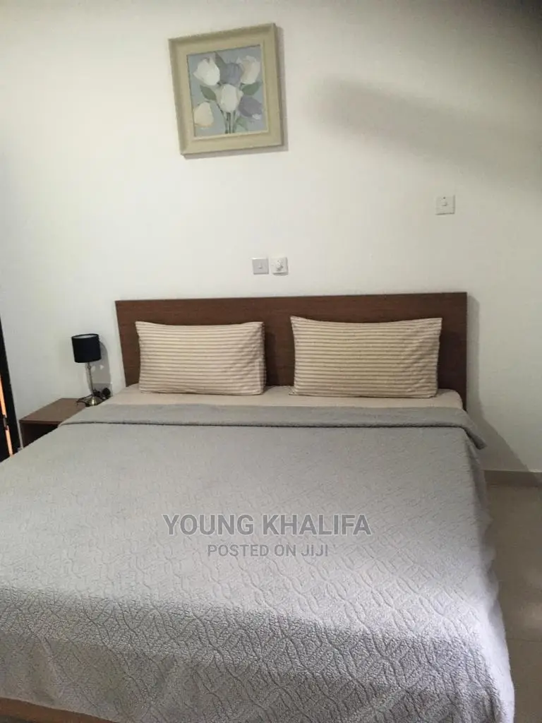 Fully Furnished 2 Bedroom Apartment for Rent Spintex Estate