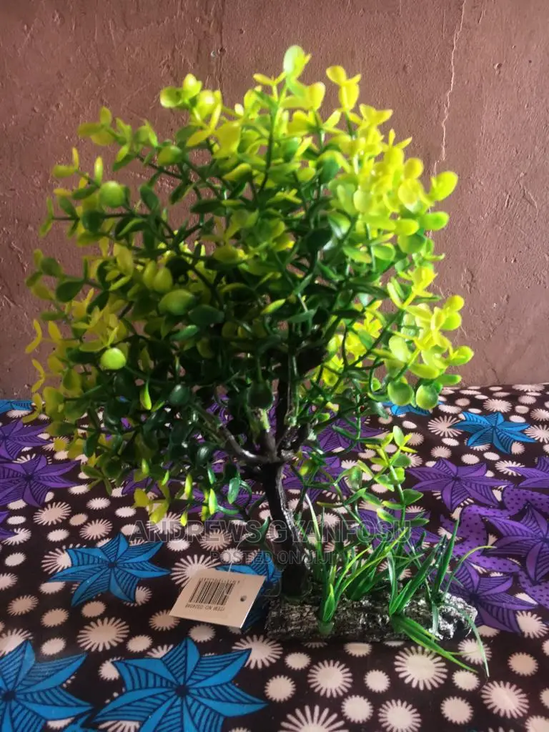 Aquarium Plant