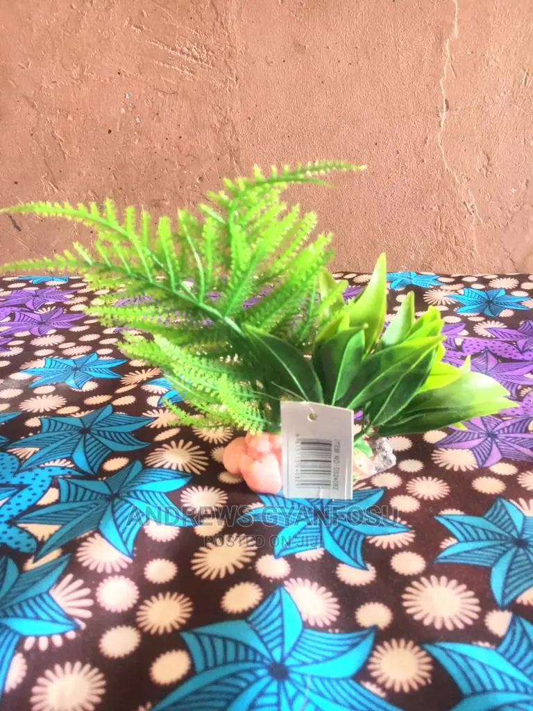 Aquarium Flower Plants