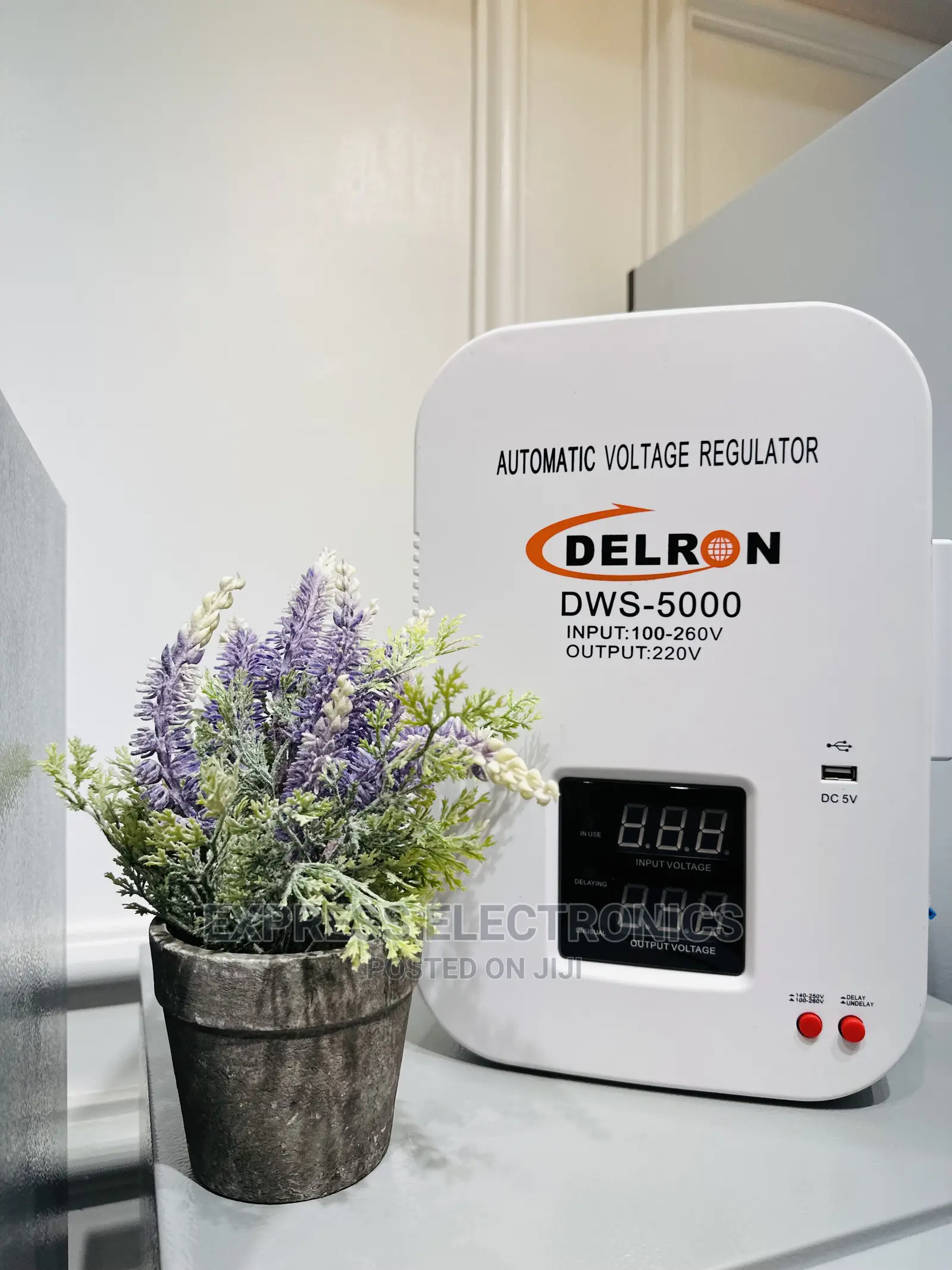 Delron Wall Automatic Voltage Regulator DWS-5000.