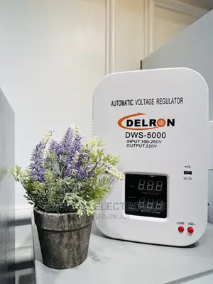 Delron Wall Automatic Voltage Regulator DWS-5000.