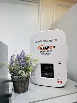 Delron Wall Mounted DWS-5000 Automatic Voltage