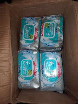 Compact Antibacterial Wet Wipes
