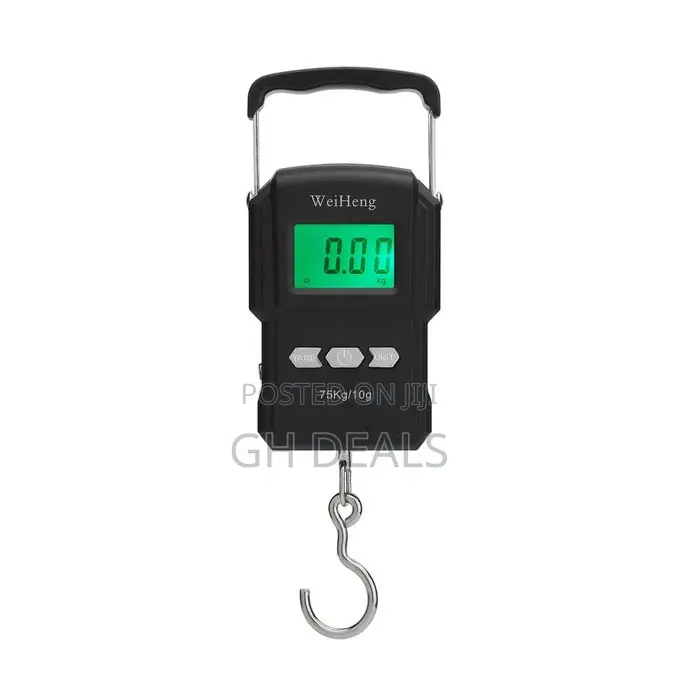 75kg/10g Electronic Backlight Weighing Scale Portable