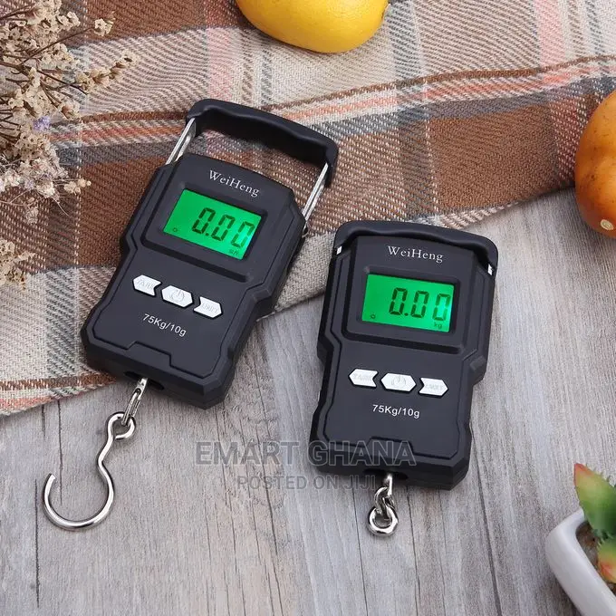 75kg/10g Electronic Backlight Weighing Scale Portable