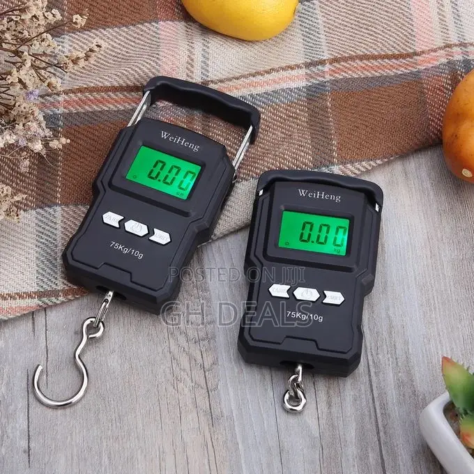 75kg/10g Electronic Backlight Weighing Scale Portable