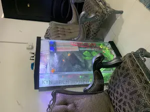 Hitman Aquarium With 15 Fishes