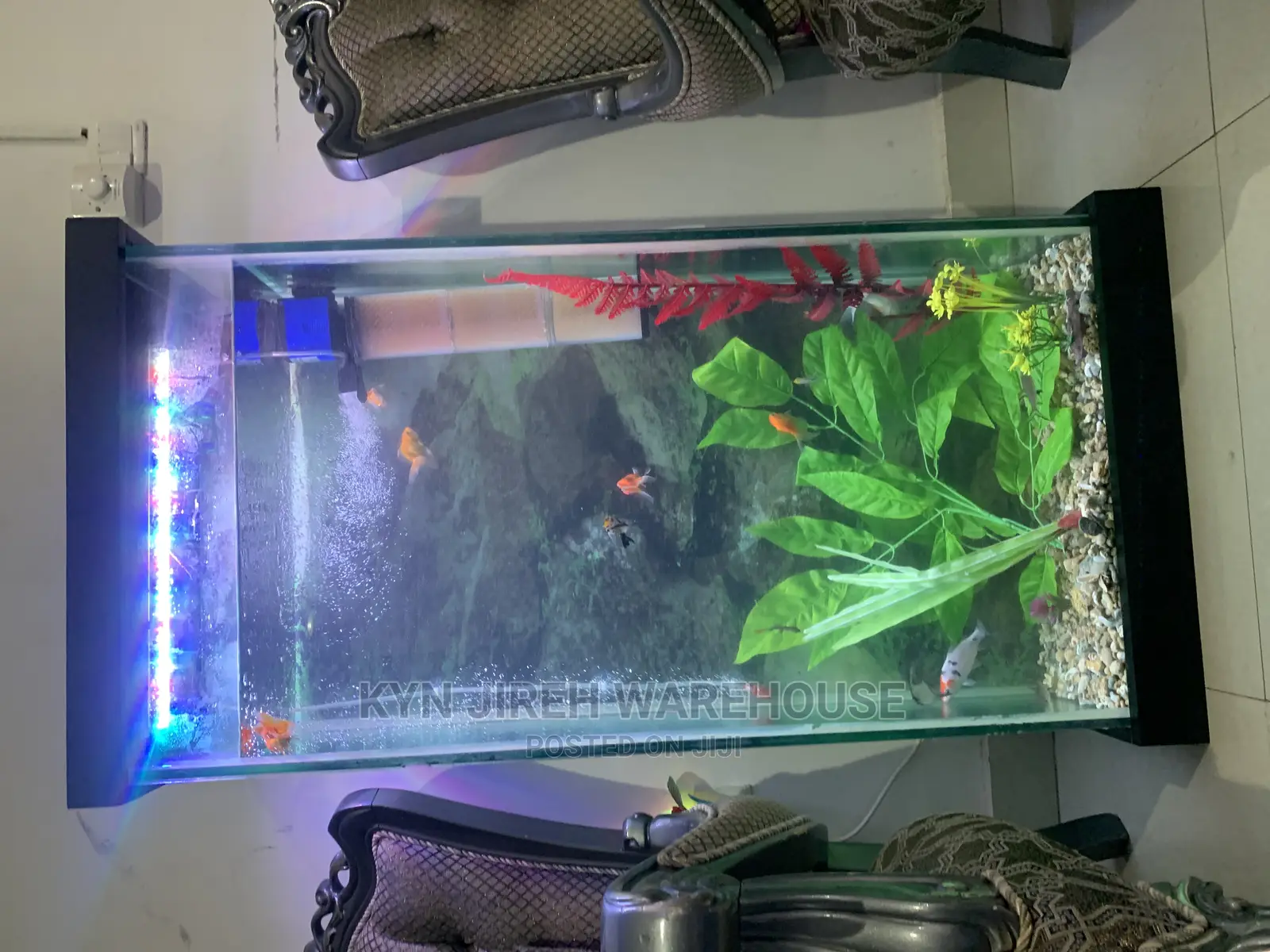 Hitman Aquarium With 15 Fishes