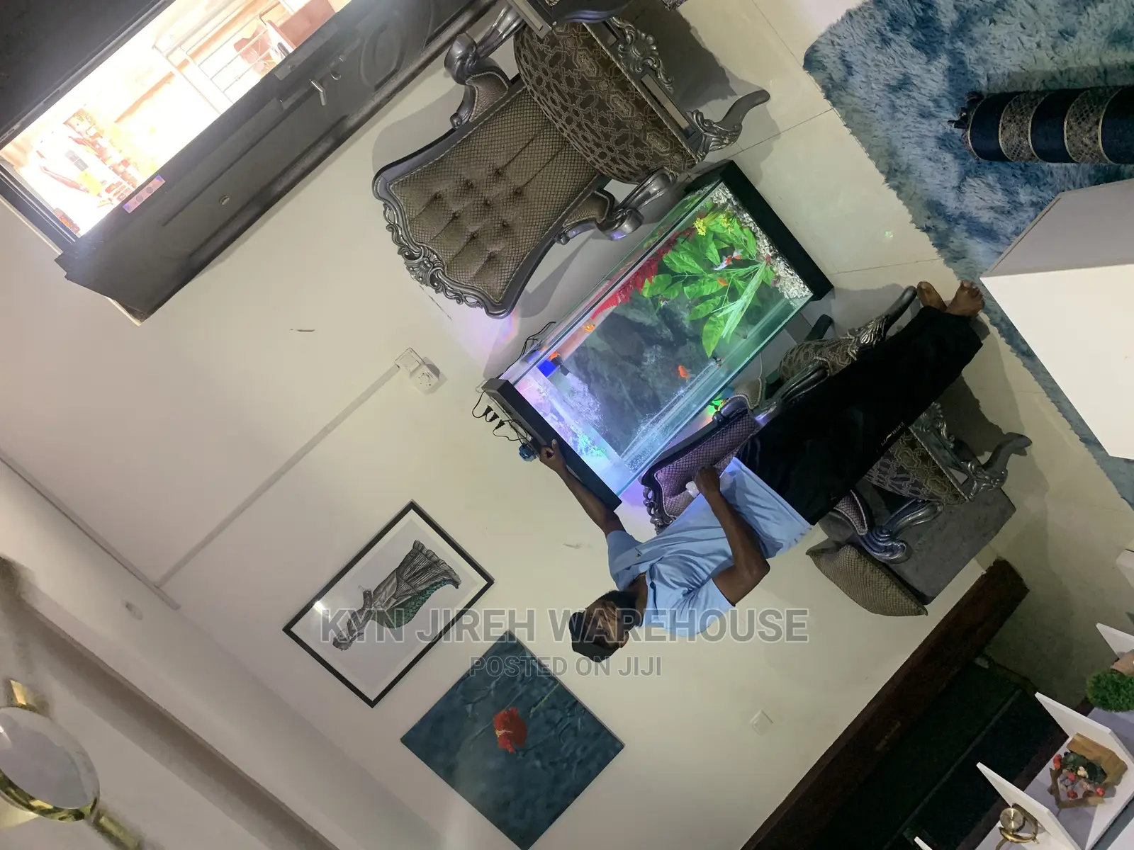 Hitman Aquarium With 15 Fishes