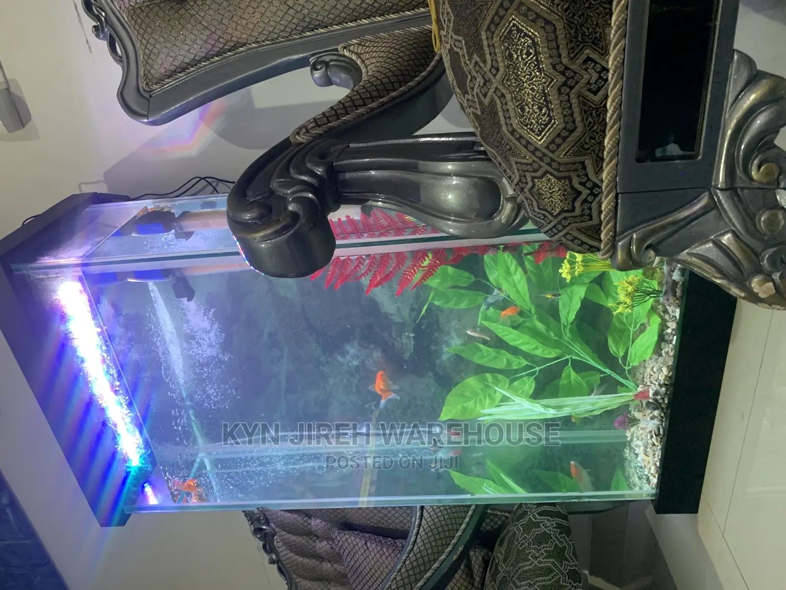 Hitman Aquarium With 15 Fishes