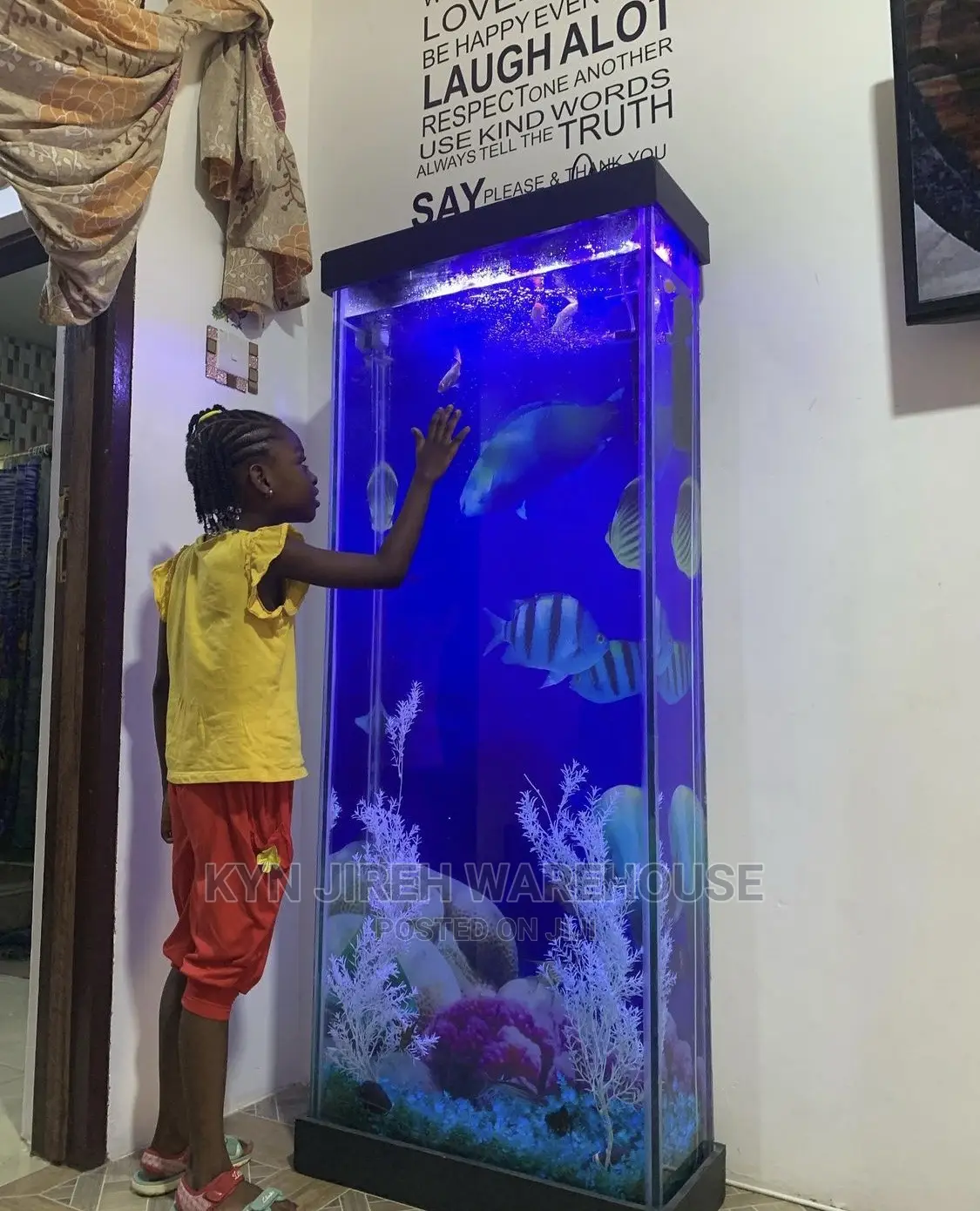 Tall Man Aquarium With 15 Fishes
