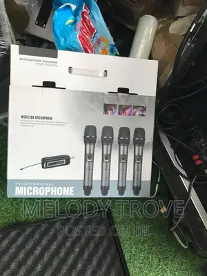 4 in 1 Rechargeable Wireless Microphone - Shengfu
