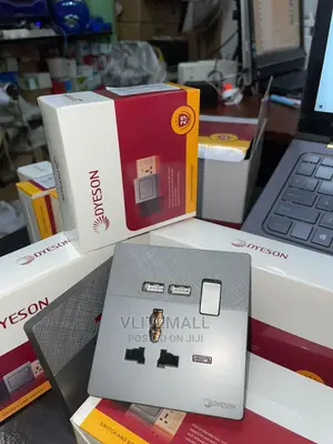 Dyeson Single Socket With USB Gray(R2.5)
