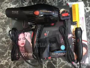Professional Hair Dryer and Hotcomb