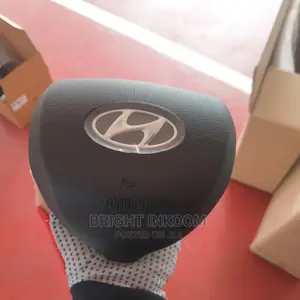 Hyundai Santa Fe 2020 Airbag Cover