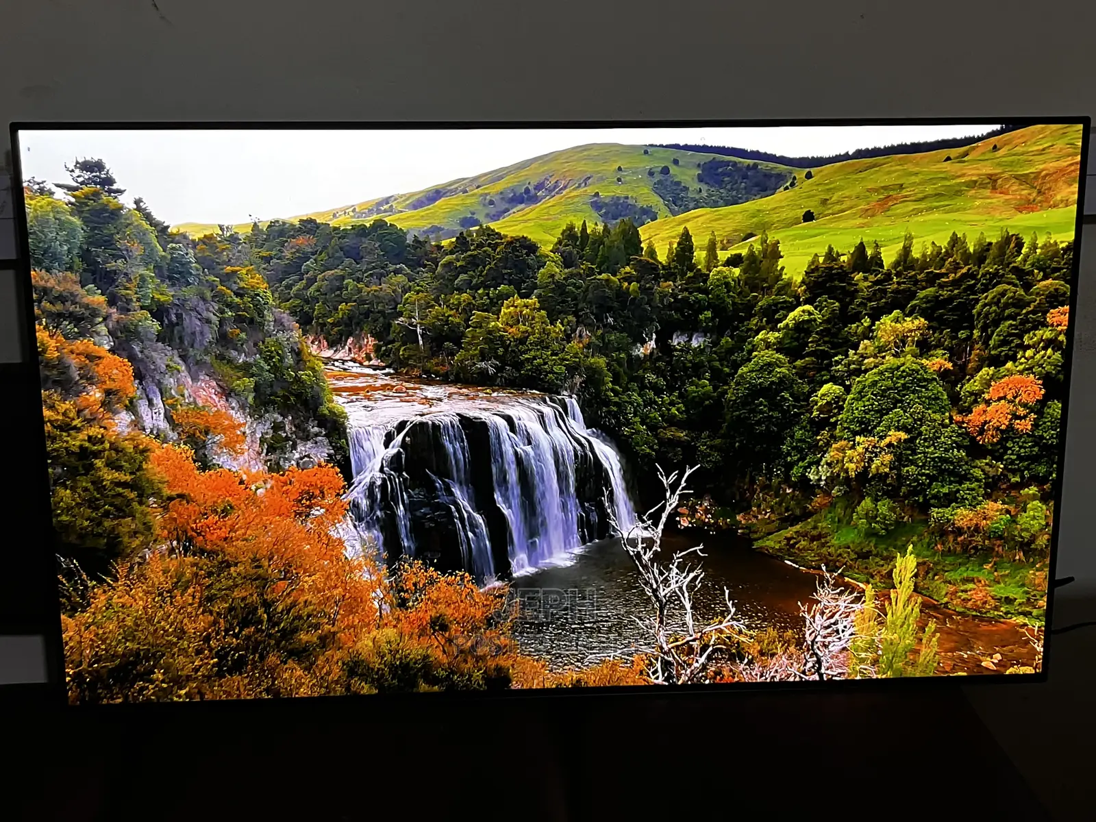 Lg Oled Tv Cx 55”