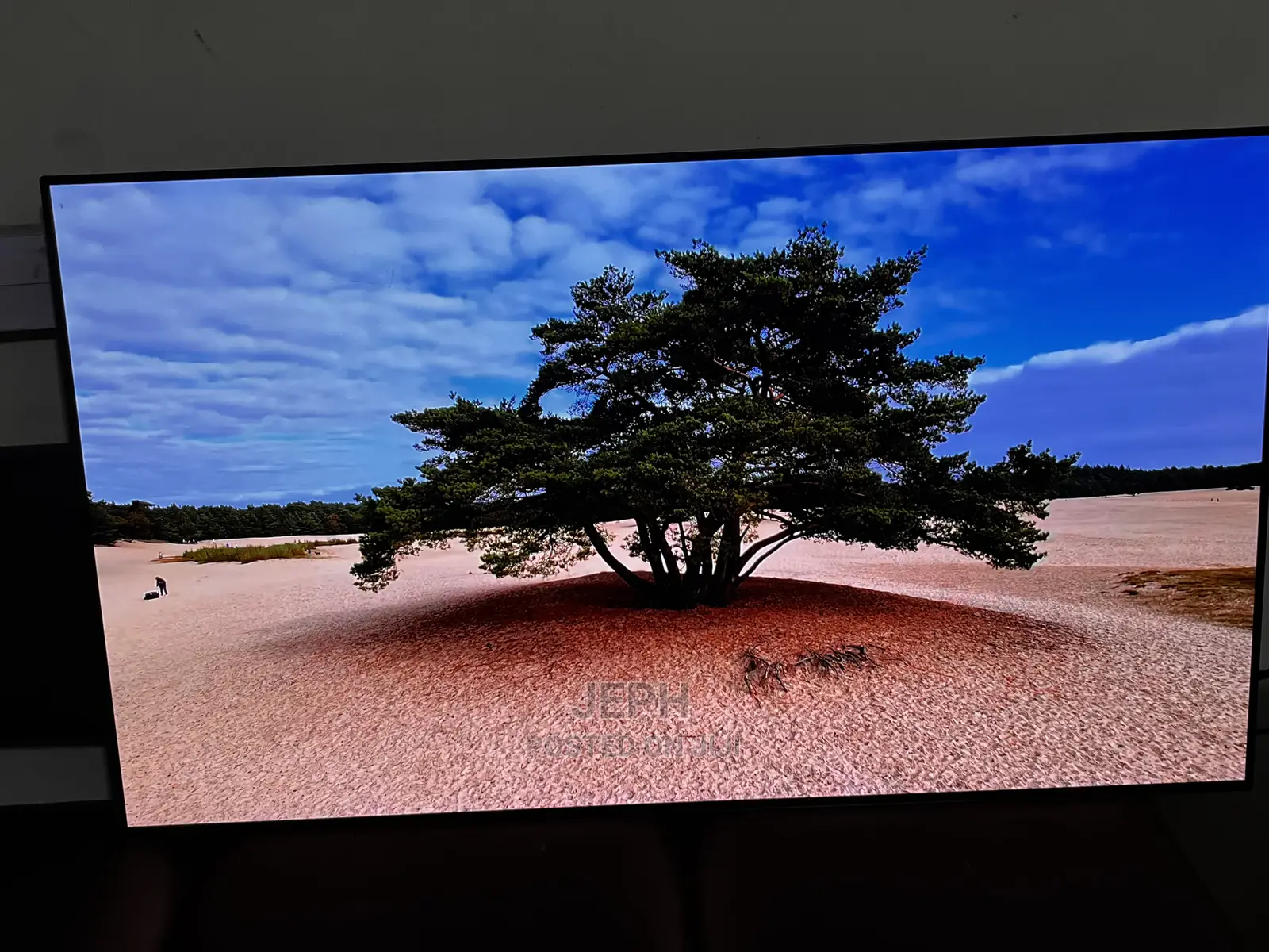 Lg Oled Tv Cx 55”
