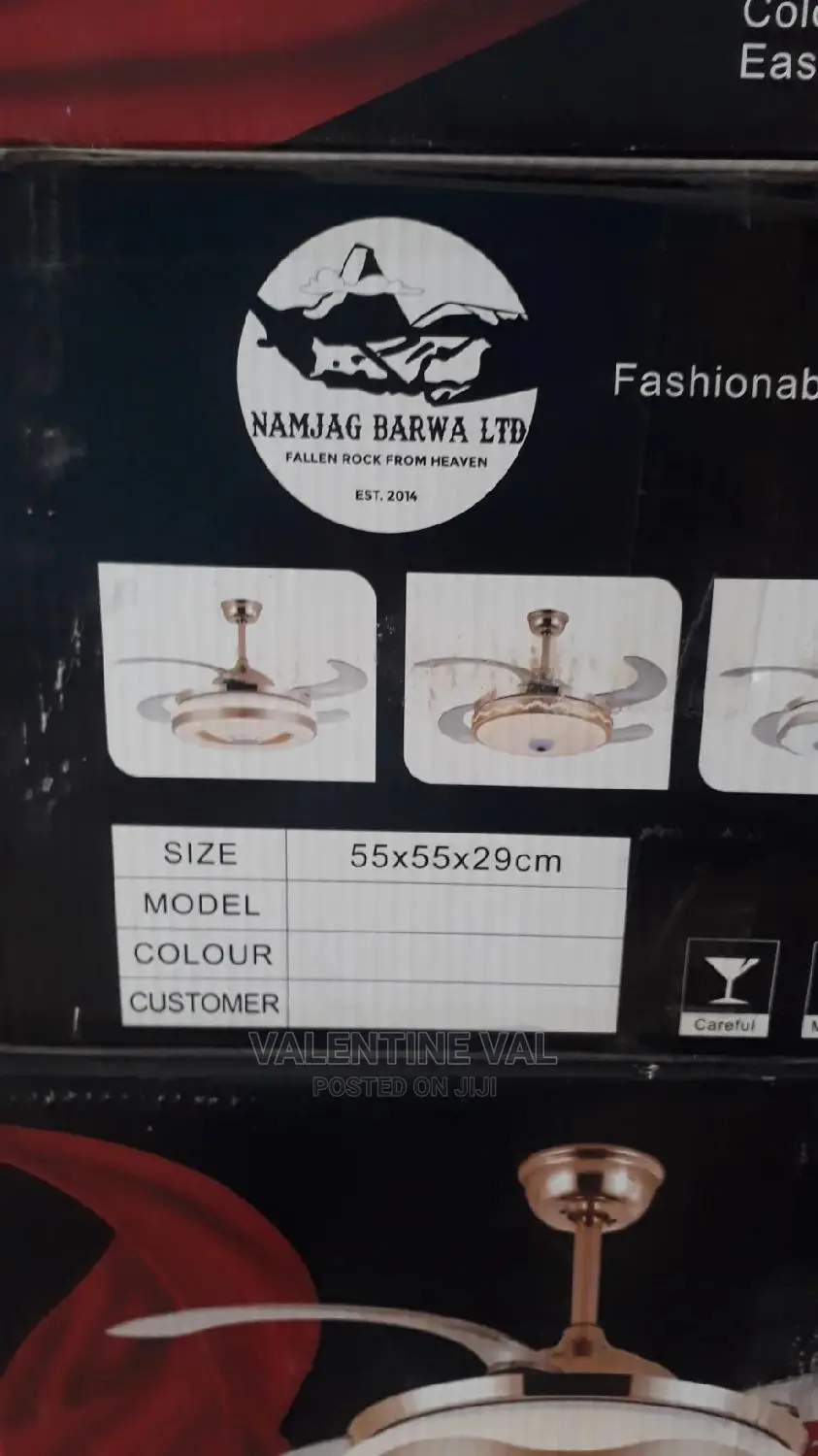 Luxury Invisible Ceiling Fan With Multifunctional Remote