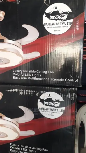 Luxury Invisible Ceiling Fan With Multifunctional Remote