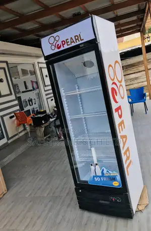 Display Quality Pearl PVC-37 Singledoor Fridge 248 Liters