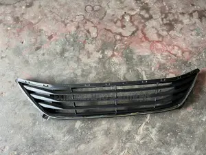 Hyundai Elantra 2014 - 2016 Bumper Net