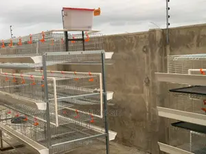 Galvanized Cages