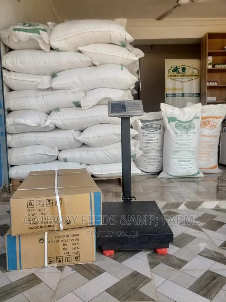 High Quality Poultry Poultry Grower Feed