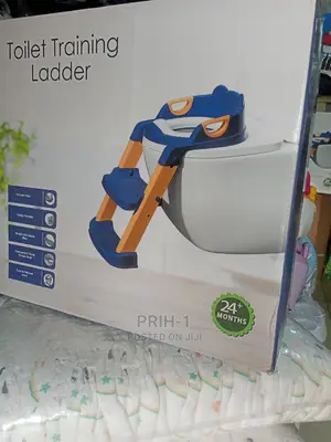 Toilet Training Ladder