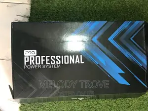 Pro Professional Power Sequencer -10channels