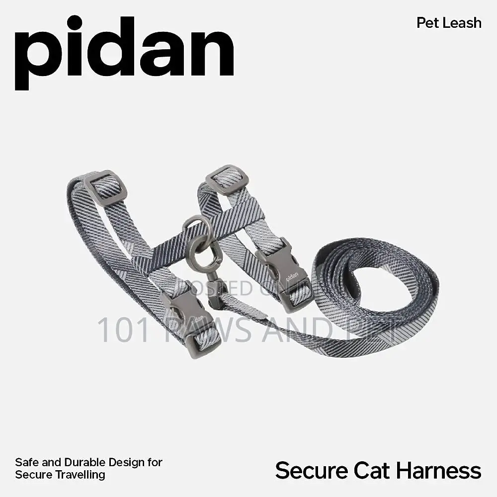 Cat and Dog Harness Available
