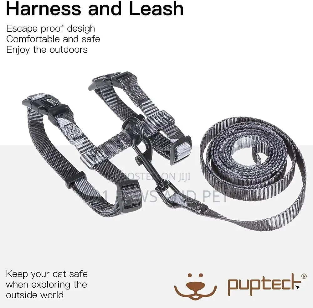 Cat and Dog Harness Available