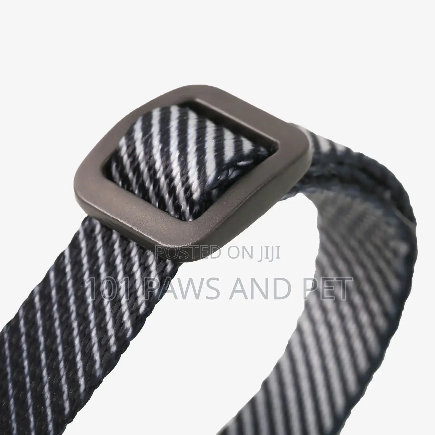 Cat and Dog Harness Available