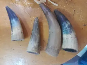 Original Cow Horn