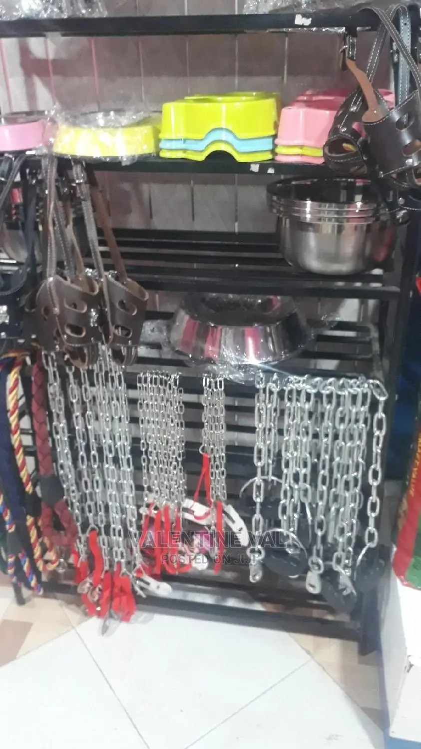Dog Complete Chain Collar