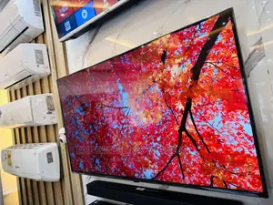 Best Buy for Less 65UQ81003 UHD Smart LG