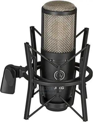 Akg P220 Studio Condenser Microphone