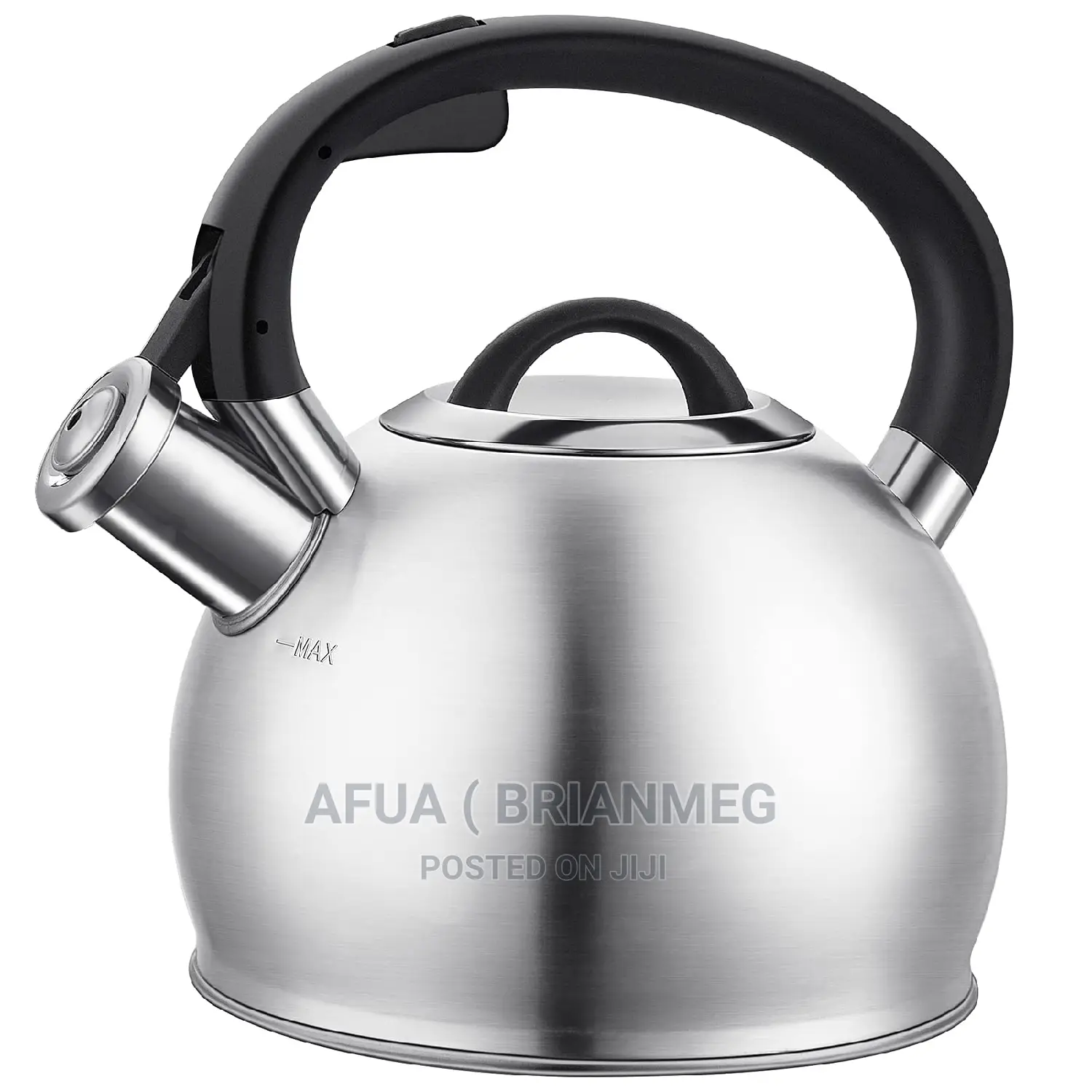 Stainless Steel Whistling Water Kettle