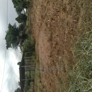Plots of Land at Accra Kumasi Mainroad Is on Sales
