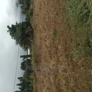 Plots of Land at Accra Kumasi Mainroad Is on Sales