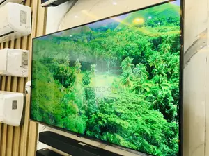 Lg Quality 65 Inches Glossy Oled  A1PVA