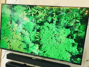 Lg Quality 65 Inches Glossy Oled  A1PVA
