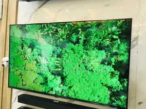 Most Affordable 55 Inches Lg CS6LA Glossy Oled Tv