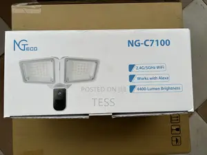 Floodlight Wifi Camera 2MP (1080P)