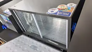 Nas360_chest Freezer_silver Colour
