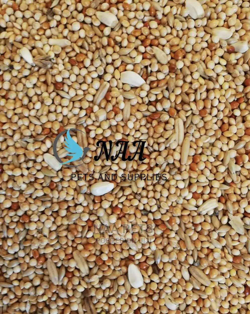 Bird Feed/ Budgie Feed