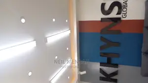 Professional Electrician