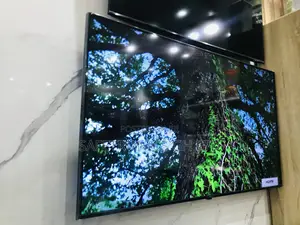 Best Lg 65 Inches Glossy LED A1PVA